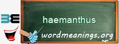 WordMeaning blackboard for haemanthus